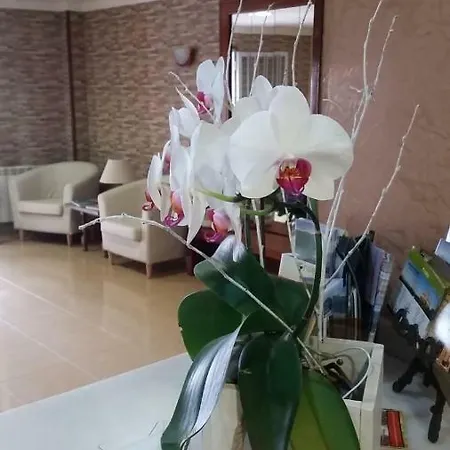 Rias Baixas מלון סנשנשו