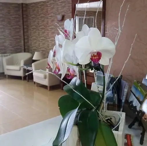 Rias Baixas Hotel Sanxenxo