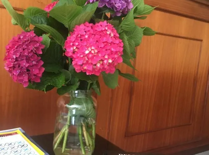 Готель Rias Baixas *